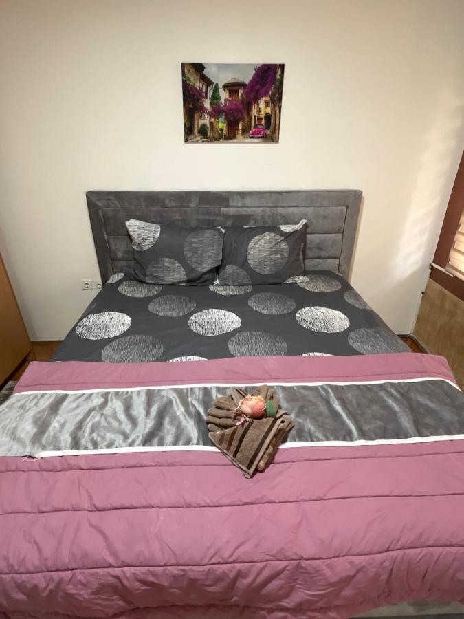 Aloha Apartment Novi Pazar Exteriér fotografie